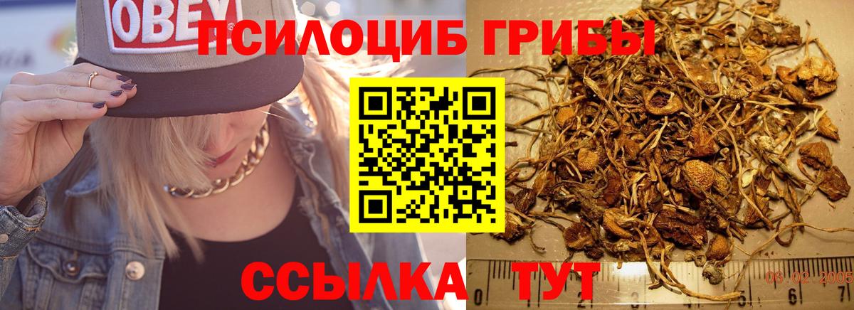Псилоцибиновые грибы прущие грибы  Вход с VPN  Куйбышев 